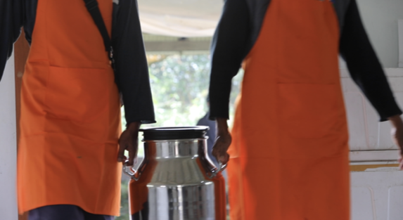 Wadah susu stainless yang dibawa petugas sebagai bagian dari proses penanganan susu yang rapi